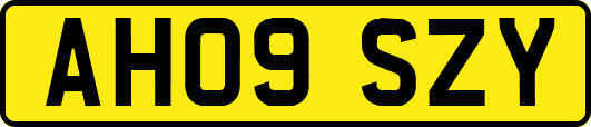 AH09SZY