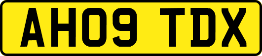 AH09TDX