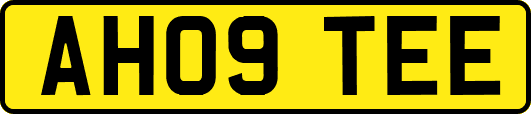 AH09TEE