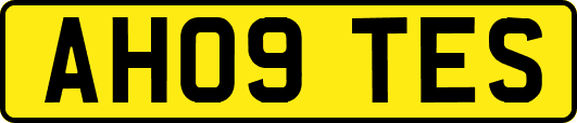 AH09TES