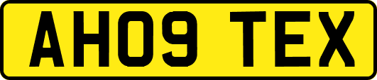 AH09TEX