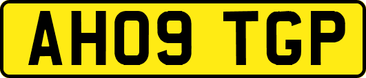 AH09TGP