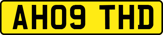 AH09THD