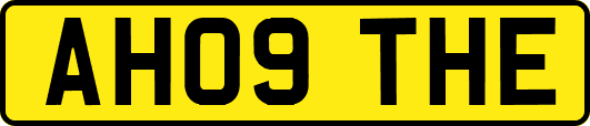 AH09THE