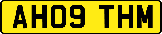 AH09THM