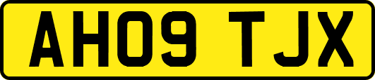 AH09TJX