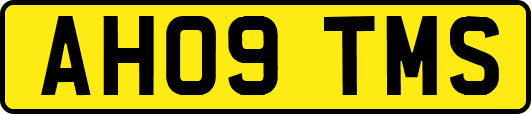 AH09TMS