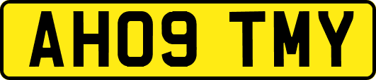 AH09TMY