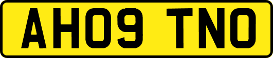 AH09TNO