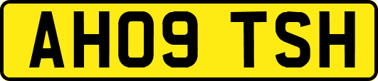 AH09TSH