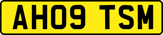 AH09TSM