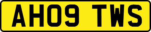 AH09TWS