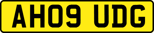AH09UDG