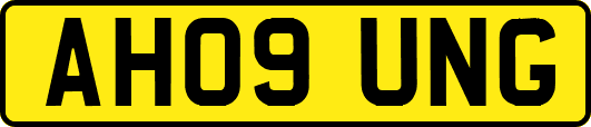 AH09UNG