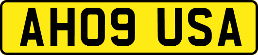 AH09USA