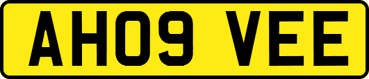 AH09VEE