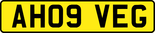 AH09VEG