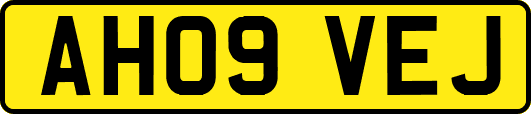 AH09VEJ