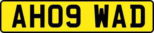 AH09WAD