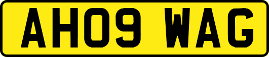 AH09WAG
