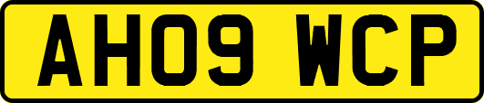 AH09WCP