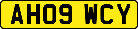 AH09WCY