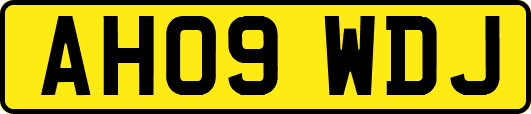 AH09WDJ