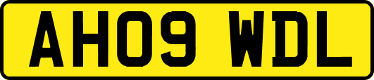 AH09WDL
