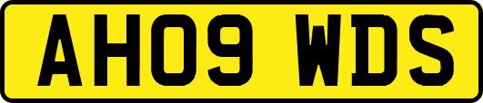 AH09WDS