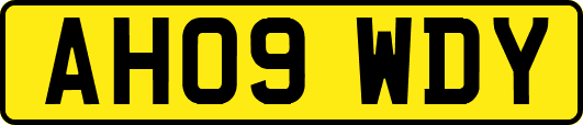 AH09WDY