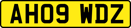 AH09WDZ