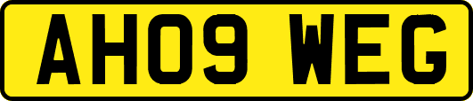 AH09WEG