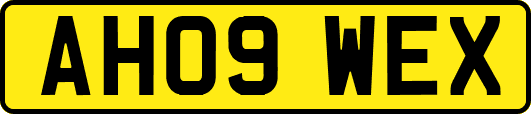 AH09WEX