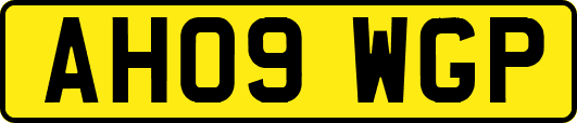 AH09WGP