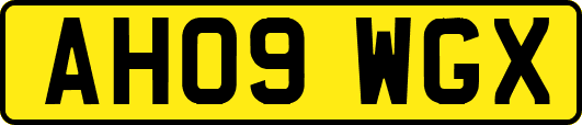 AH09WGX