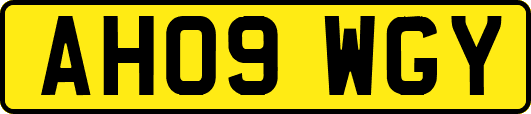 AH09WGY