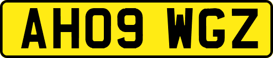 AH09WGZ