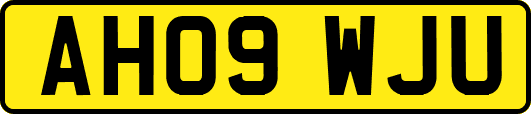 AH09WJU