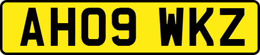 AH09WKZ