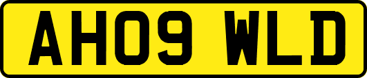 AH09WLD