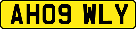 AH09WLY