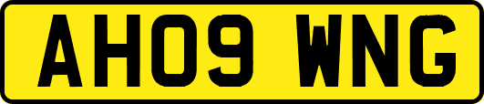 AH09WNG