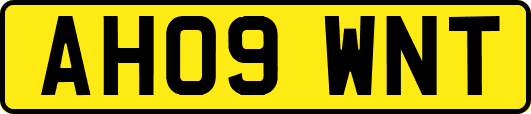 AH09WNT