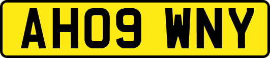 AH09WNY