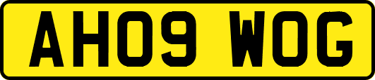 AH09WOG