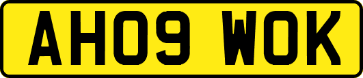 AH09WOK