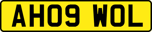 AH09WOL