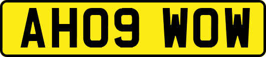AH09WOW