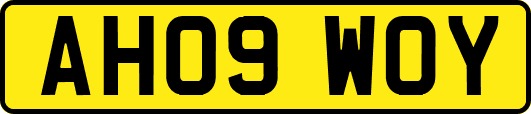 AH09WOY