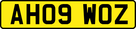 AH09WOZ